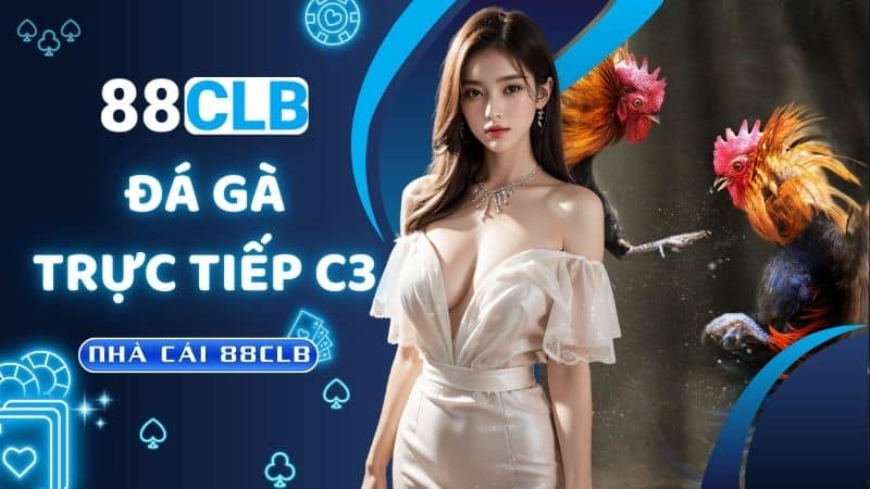 Đá gà trực tiếp C3