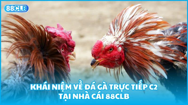 Khái niệm về đá gà trực tiếp C2 tại nhà cái 88clb