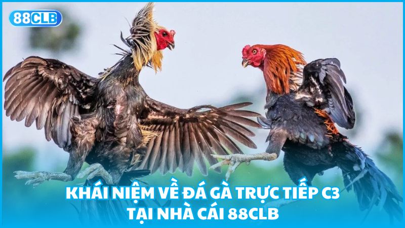 Khái niệm về đá gà trực tiếp C3 tại nhà cái 88clb