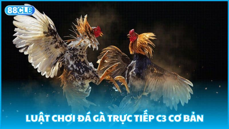 Luật chơi đá gà trực tiếp C3 cơ bản